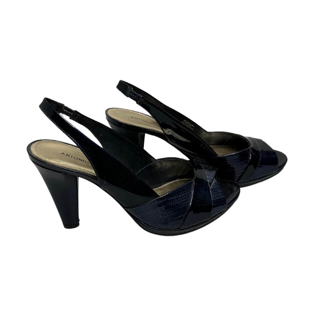 Blue Antonio Melani Shoes, 8.5M